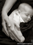 Deb Stagg Photo Baby