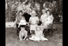 Deb Stagg Photo Family Reunions